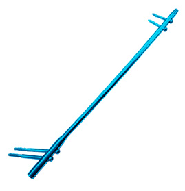 Proximal Hip Nails