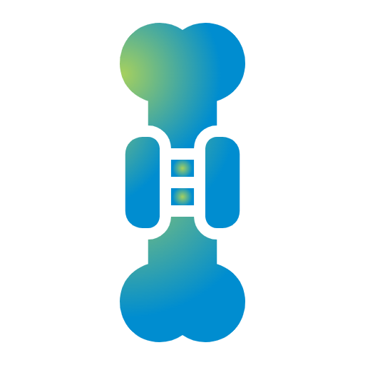 External Fixation System External Fixation Device External Fixators 