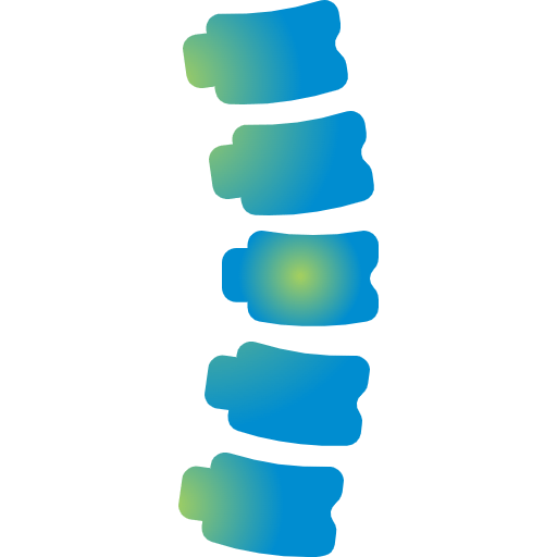 Spine